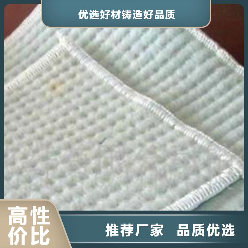 复合防水毯本年度报价货真价实