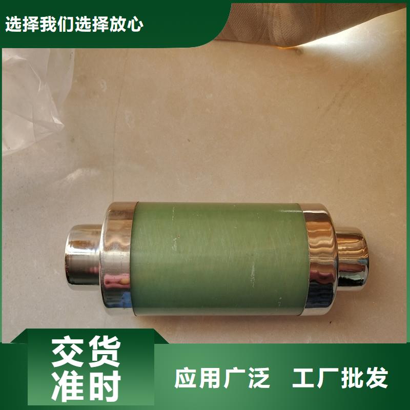 单管高压熔断器高压PT熔管品种全