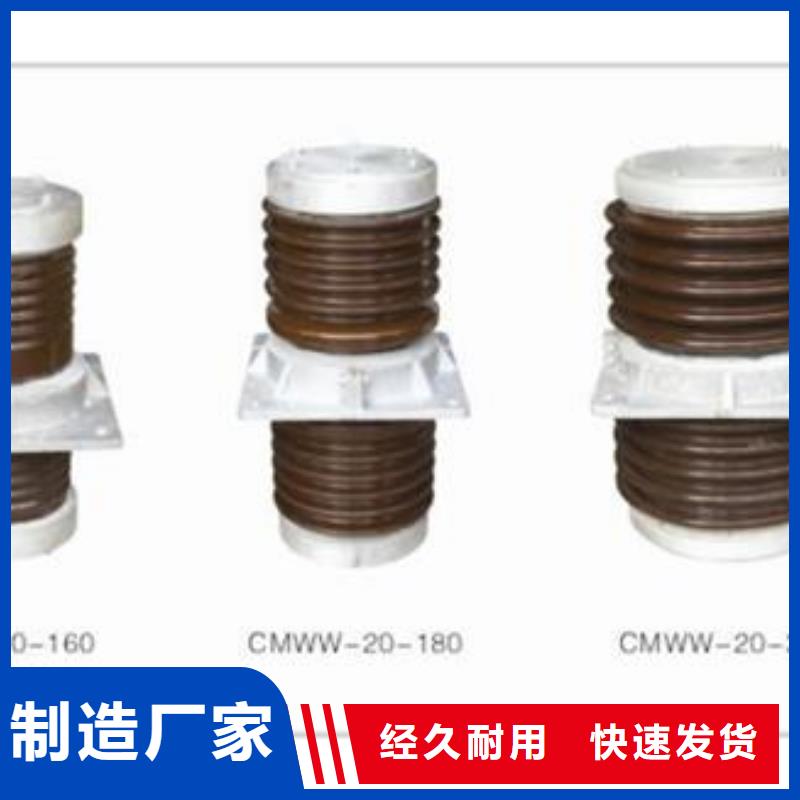 CWLB-40.5/630A陶瓷高压托管本地供应商