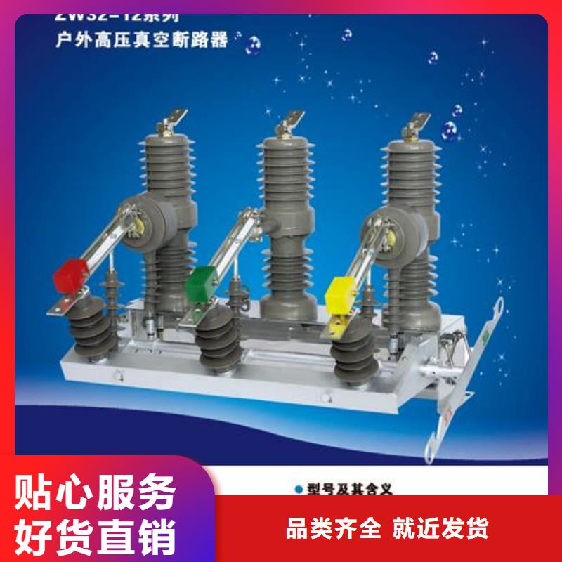 VS1-12/1000-25户内真空断路器手车式专业生产设备