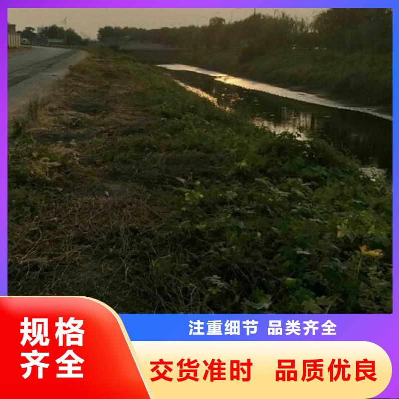 土壤稳定剂软基处理固化土报价不断创新