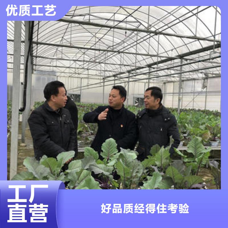 蔬菜种植大棚真正的厂家货源多年厂家可靠