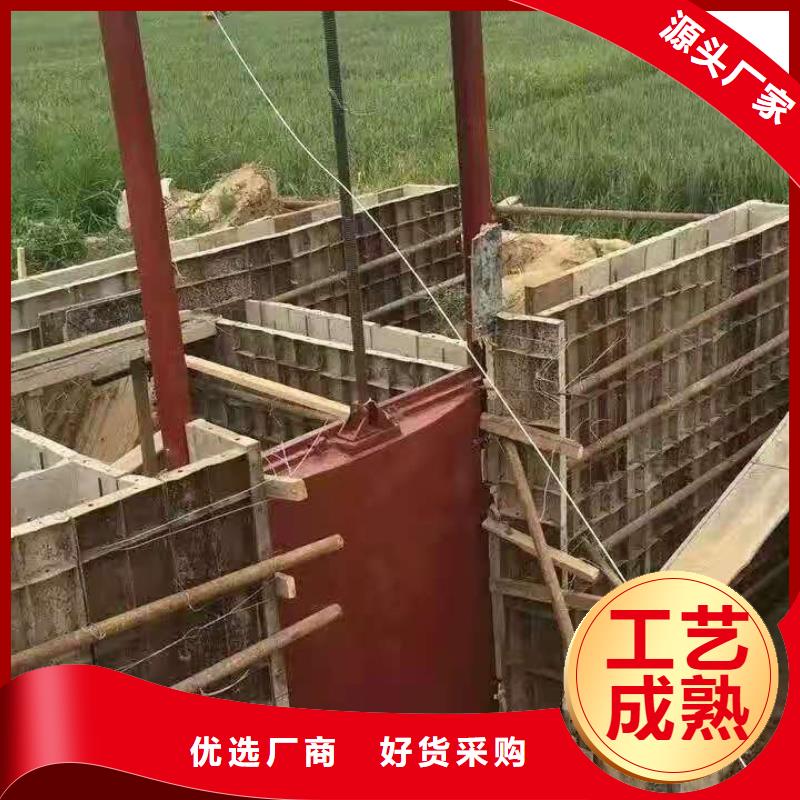 水电站铸铁闸门源头厂家厂家实力大
