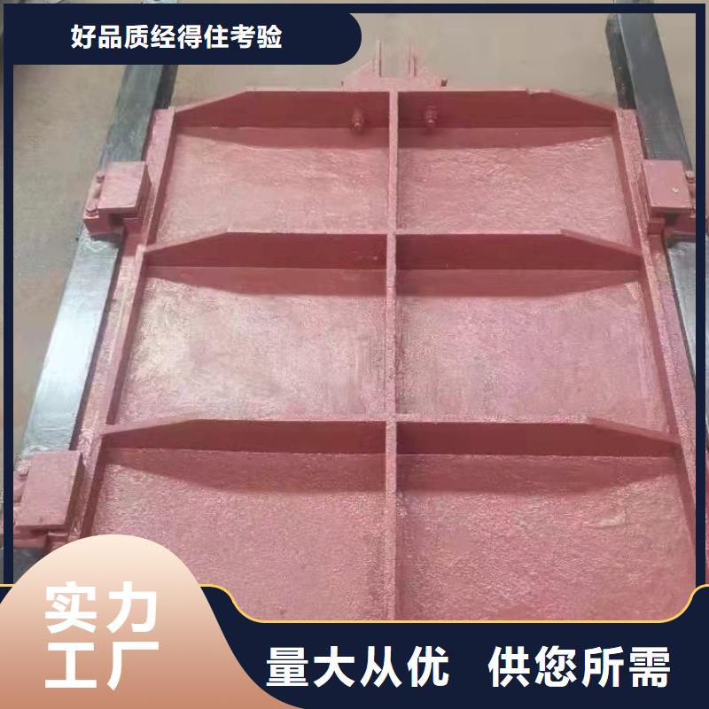 水电站铸铁闸门规格齐全品质有保障