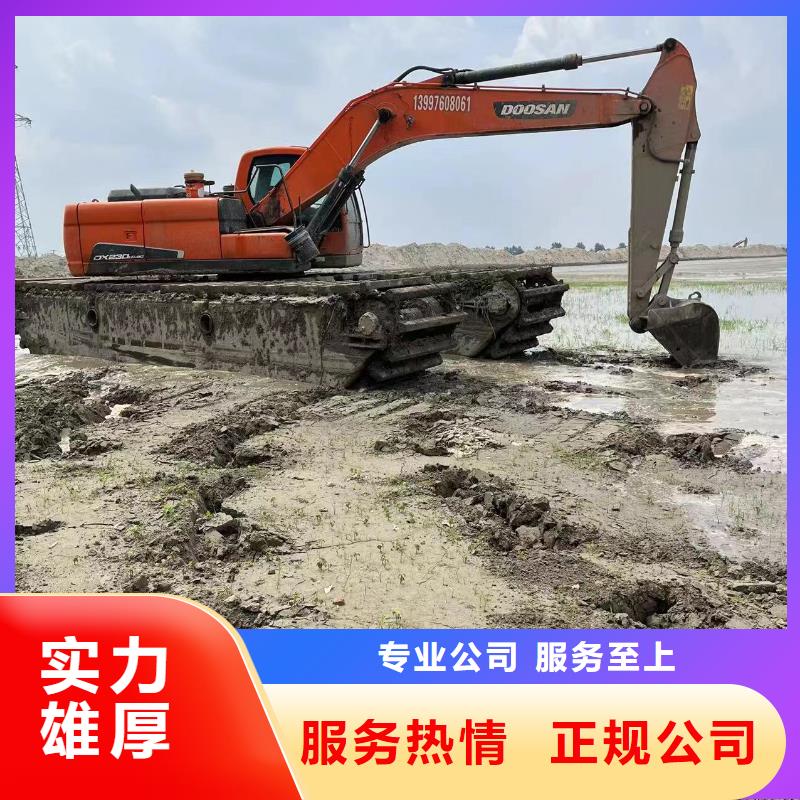 优质水陆挖掘机租赁的销售厂家解决方案