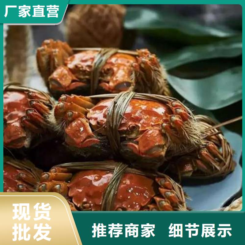 常年供应阳澄湖大闸蟹厂家工程施工案例