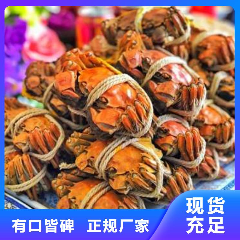 有现货的阳澄湖大闸蟹供货商厂家实力雄厚
