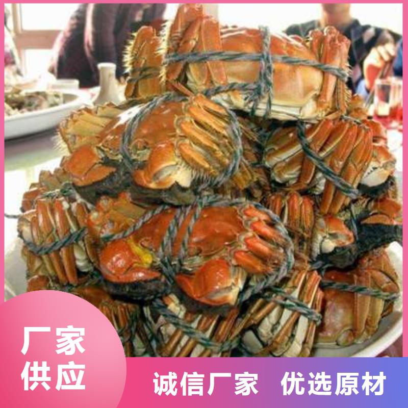 ​阳澄湖大闸蟹实体厂家质量有保障本地供应商