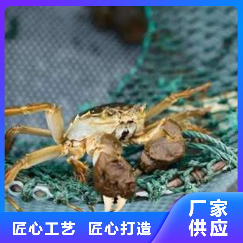 阳澄湖大闸蟹供货速度快精工打造