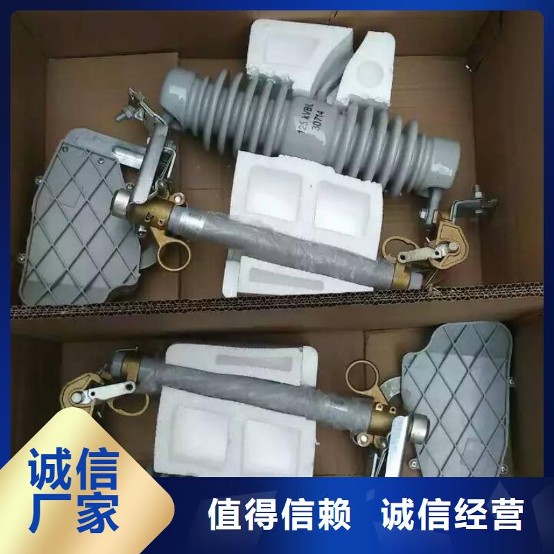 每日推荐：高压熔断器/FSC-12KV/200-12.524小时下单发货