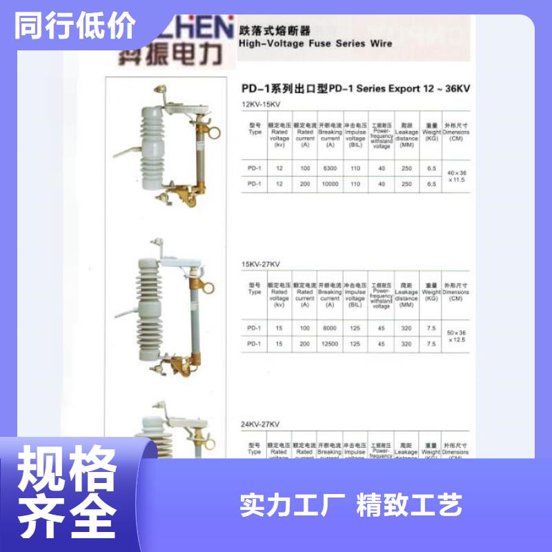 高压熔断器/PRW-12F/200A同城厂家