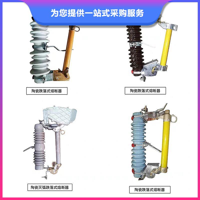 高压熔断器/RW12-24KV/100A本地货源