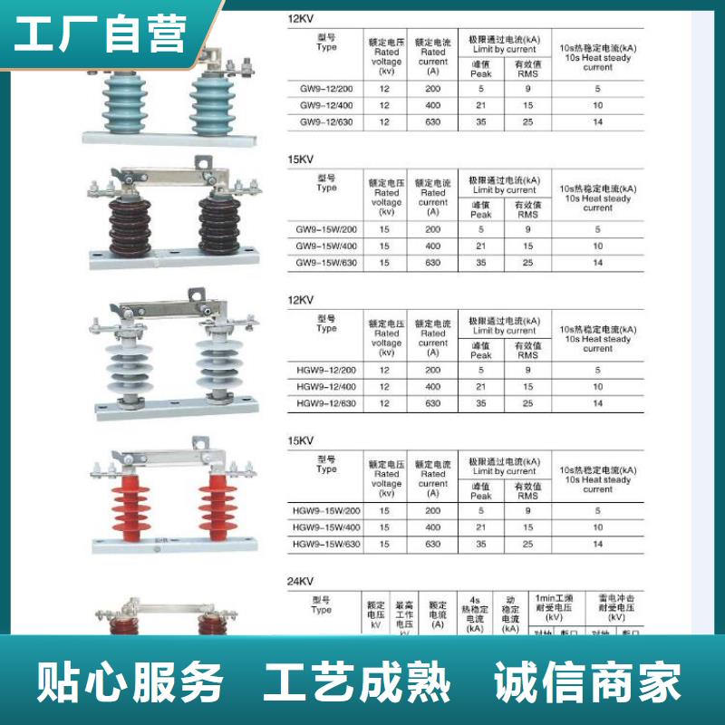 【】阀式避雷器FS2-15KV-避雷器--详细参数当地生产商