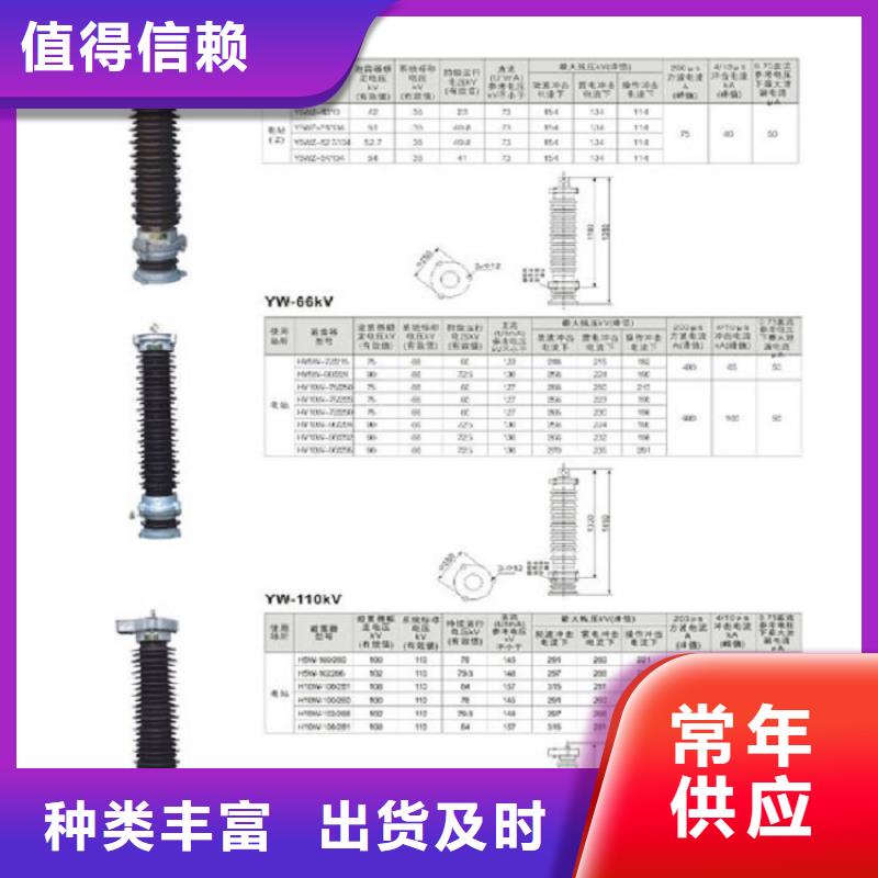 避雷器Y10W-192/500上海羿振电力设备有限公司当地生产厂家