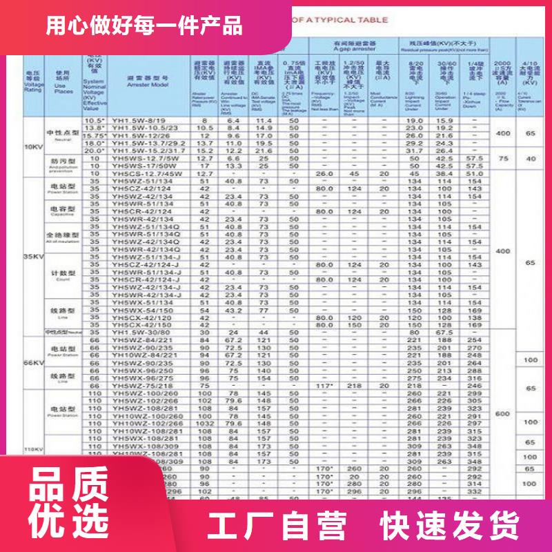 避雷器Y10W-90/235G.精工细作品质优良