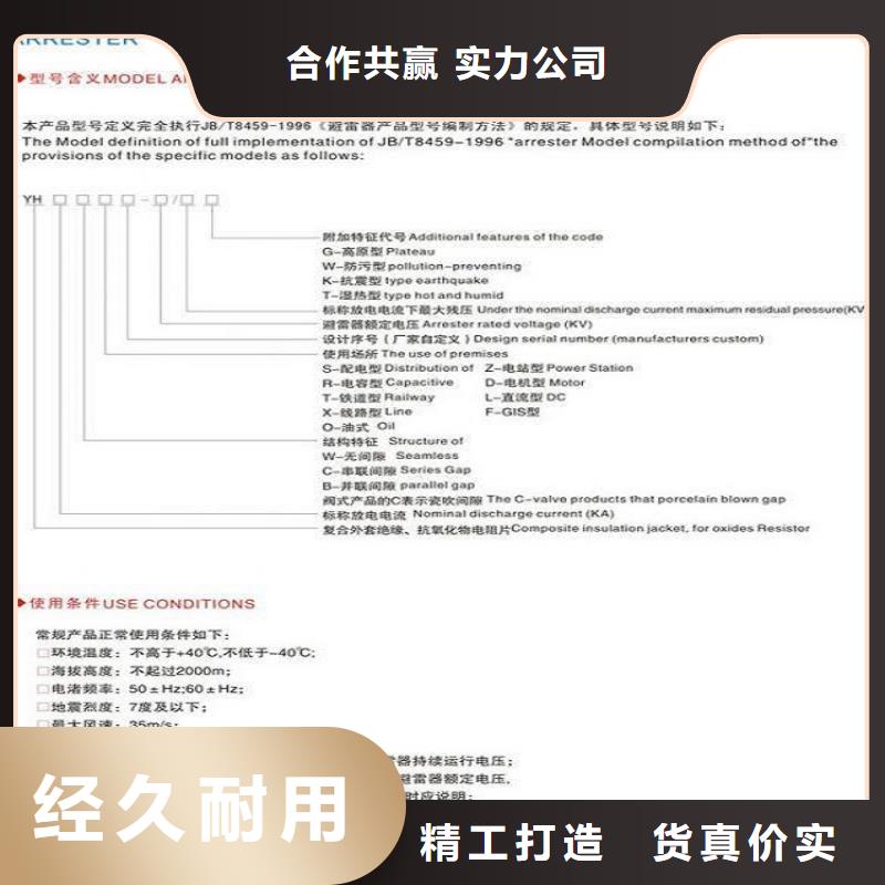 【】避雷器YH5W5-96/250L【羿振电气】选择大厂家省事省心