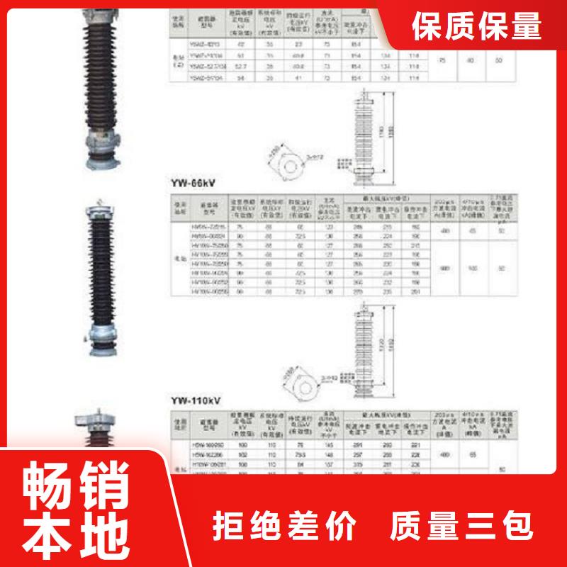 避雷器YH10CX5-96/260,附放电计数器规格型号全