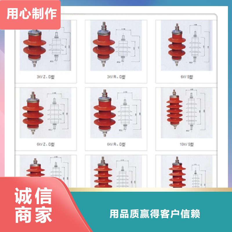 【羿振电气】避雷器YH5WS-17/50L本地生产商