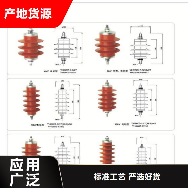 【】避雷器Y10W5-198/565W【羿振电气】放心购