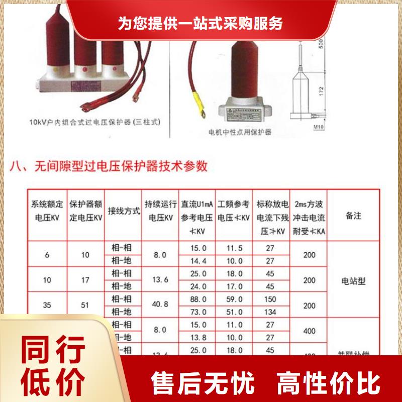 【乐东县】TBP-W-C/6-T组合过电压保护器客户满意度高