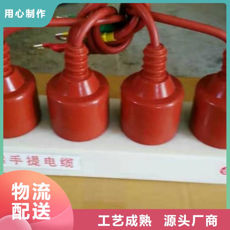 【】保护器(组合式避雷器)RY-GDY2-C/10组合过电压保护器客户满意度高