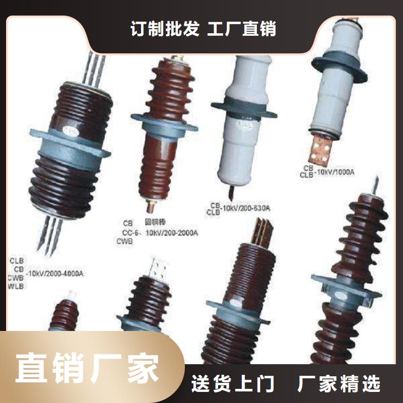 【高压穿墙套管】CWLB-10KV/630当地经销商