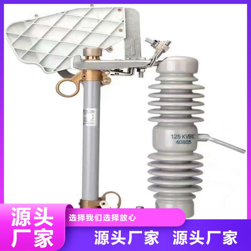 高压熔断器/RTF5-12KV/100同城供应商