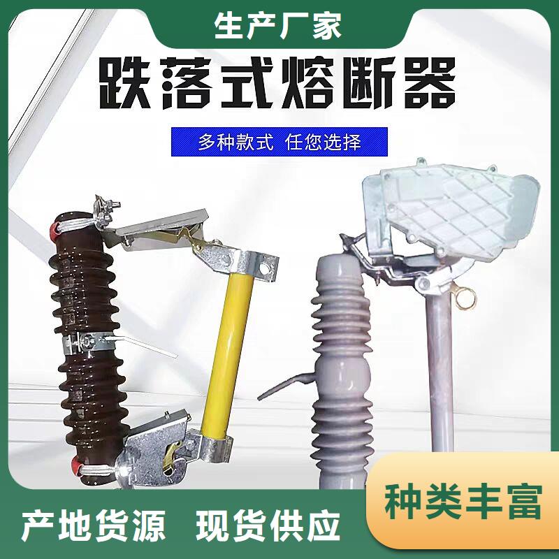 高压熔断器/AC10kV/100A/跌落式/复合材料-上海羿振电力设备有限公司厂家案例