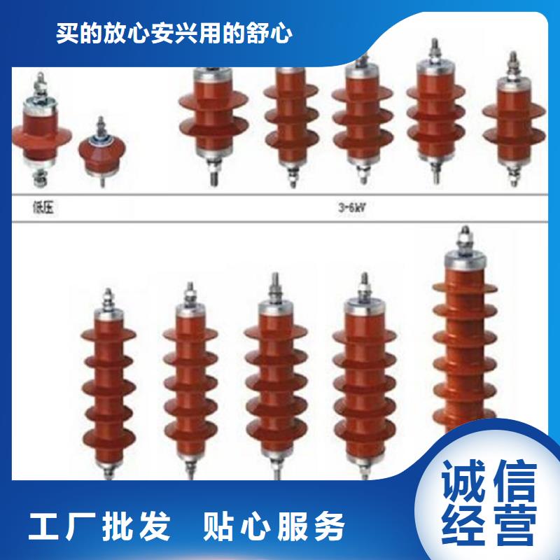 避雷器Y10W5-116/302GY.同城生产厂家