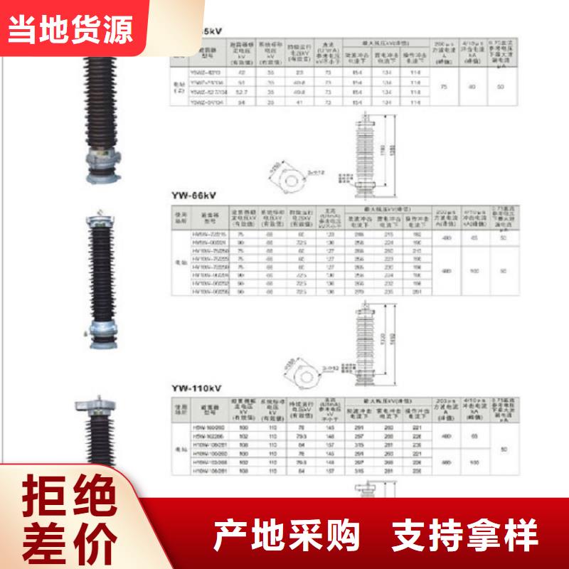【羿振电力】避雷器HY5CX4-69/198厂家