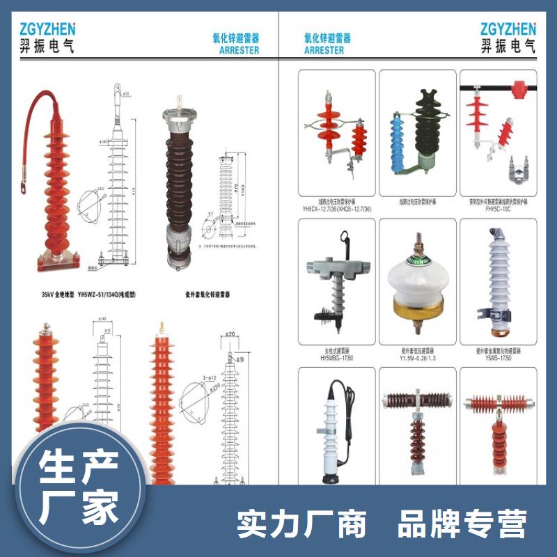 【羿振电气】避雷器YHSWZ-17/45自有厂家