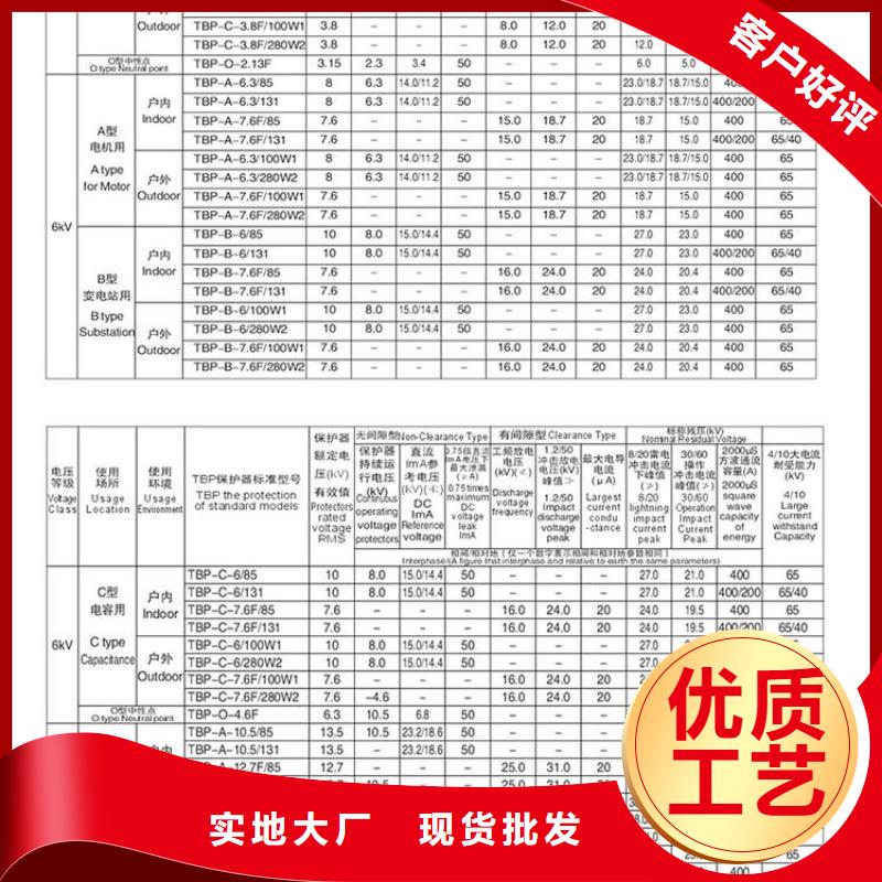 【】过电压保护器(组合式避雷器)TBP-A-7.6/100W1品质做服务