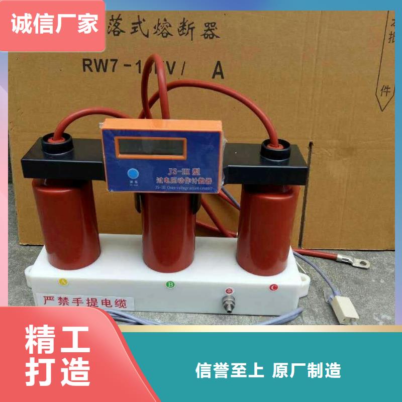 ＿保护器(组合式避雷器)YD600-C-7.6KV/F本地经销商