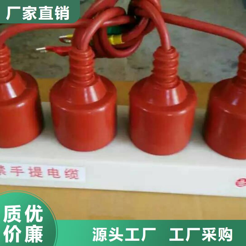 【】保护器(组合式避雷器)YH2.5WD-13.5/38.7*13.5/31.0一站式厂家