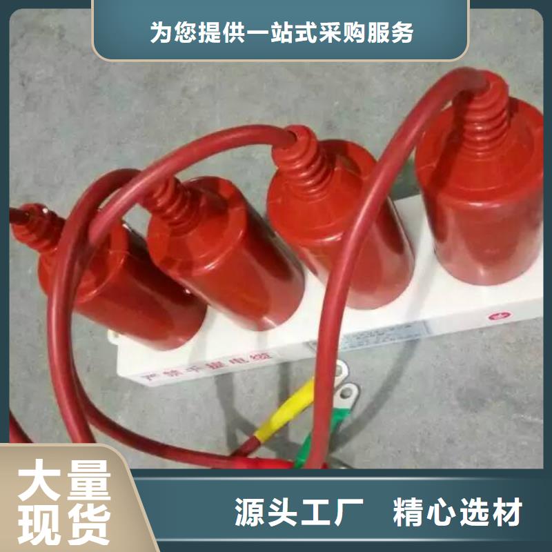 【羿振电力设备】过电压保护器TBP-B-10KV物流配送