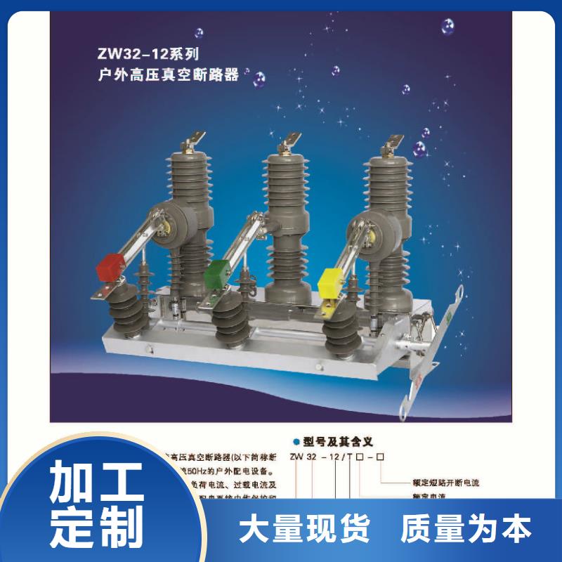 【断路器】真空断路器ZW32-12/T630-20源厂直销