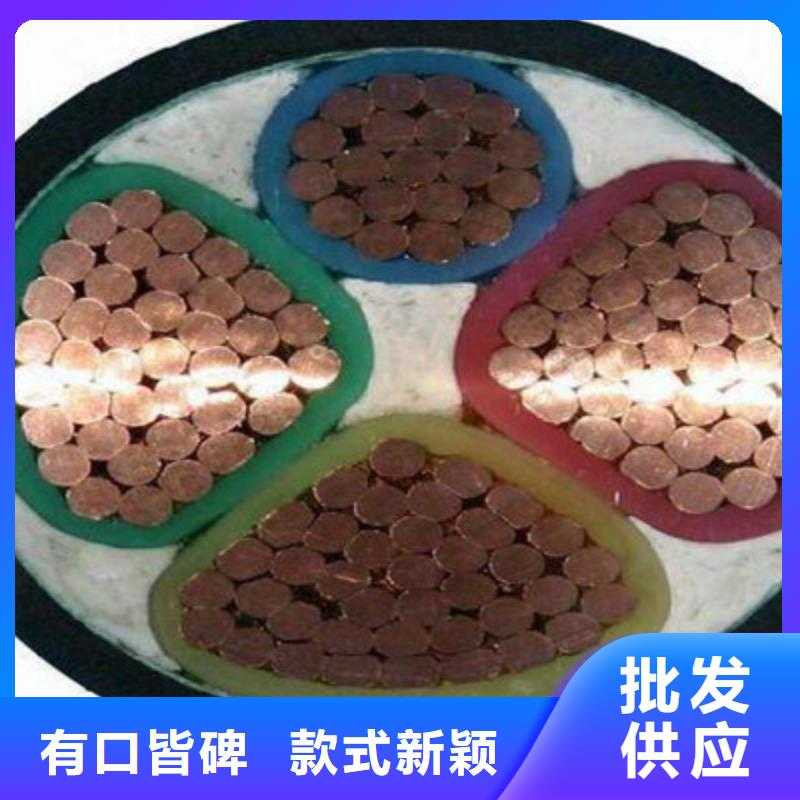 回路信号线WDZ-RYJ可定制