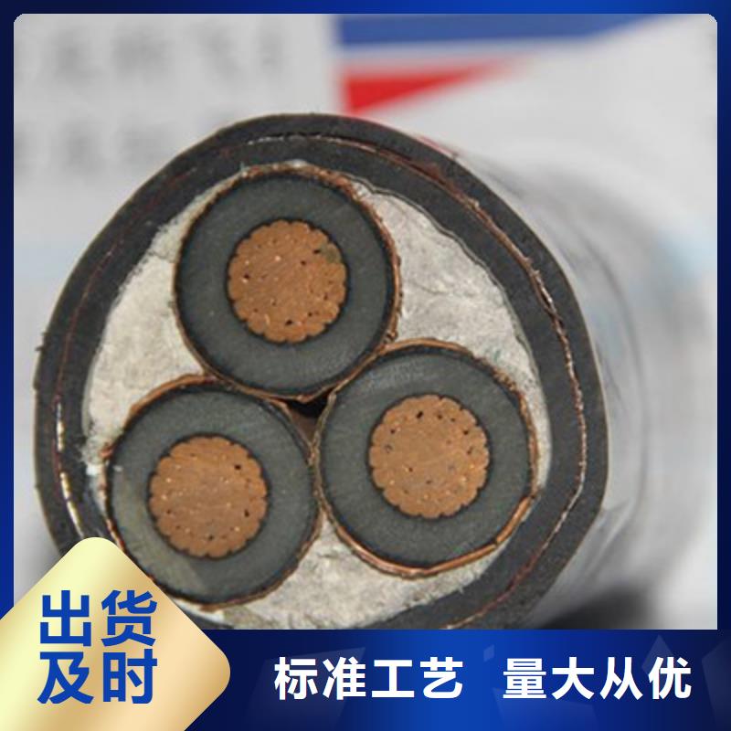 TRV30X0.5天联牌电缆合格才出厂用心制作