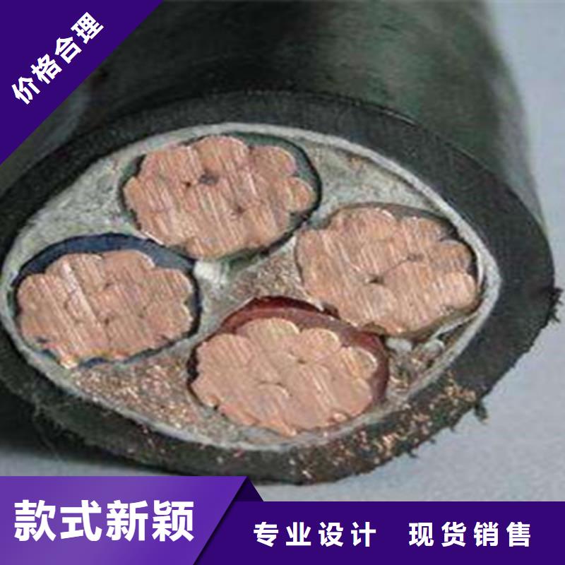 HBIYP2VZT-II2X1.0两芯电缆供货商当地制造商