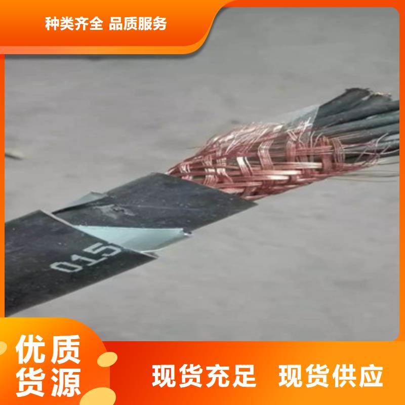 阻燃控制电缆厂家当地品牌