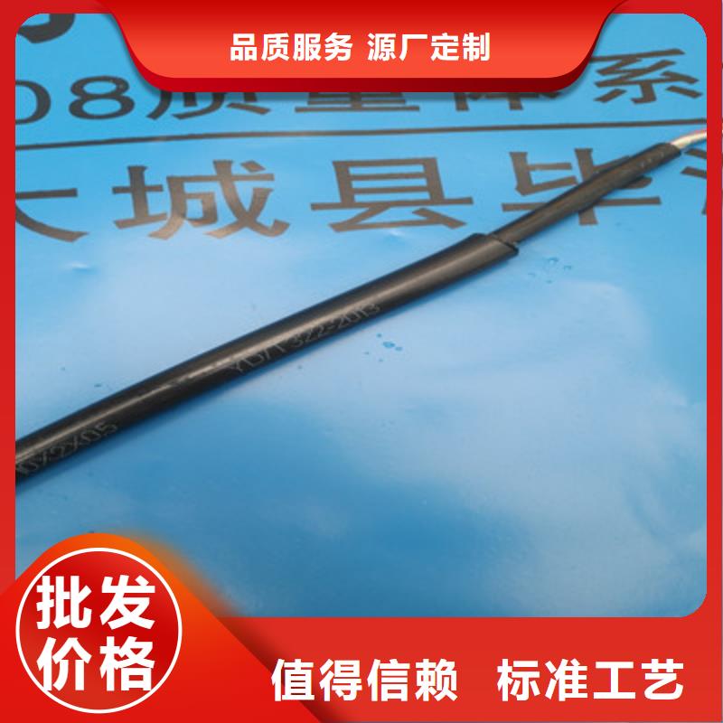FF总线电缆生产厂家同城经销商