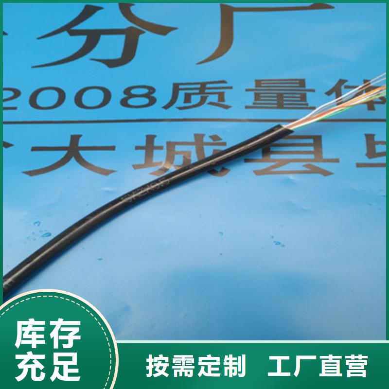 总线电缆3076F3对0.2实力见证