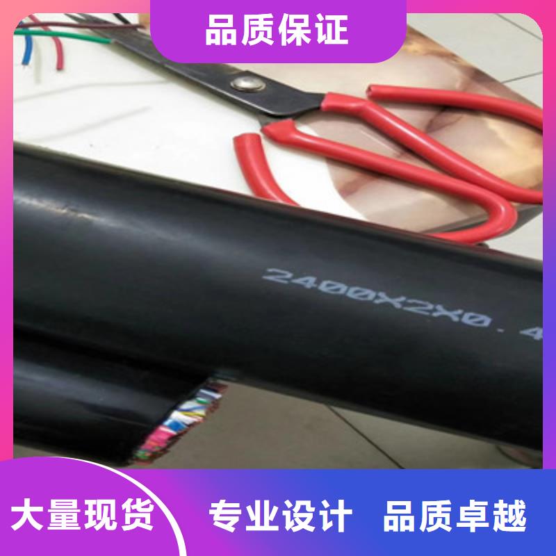 通讯电缆6XV18401对0.3实拍品质保障