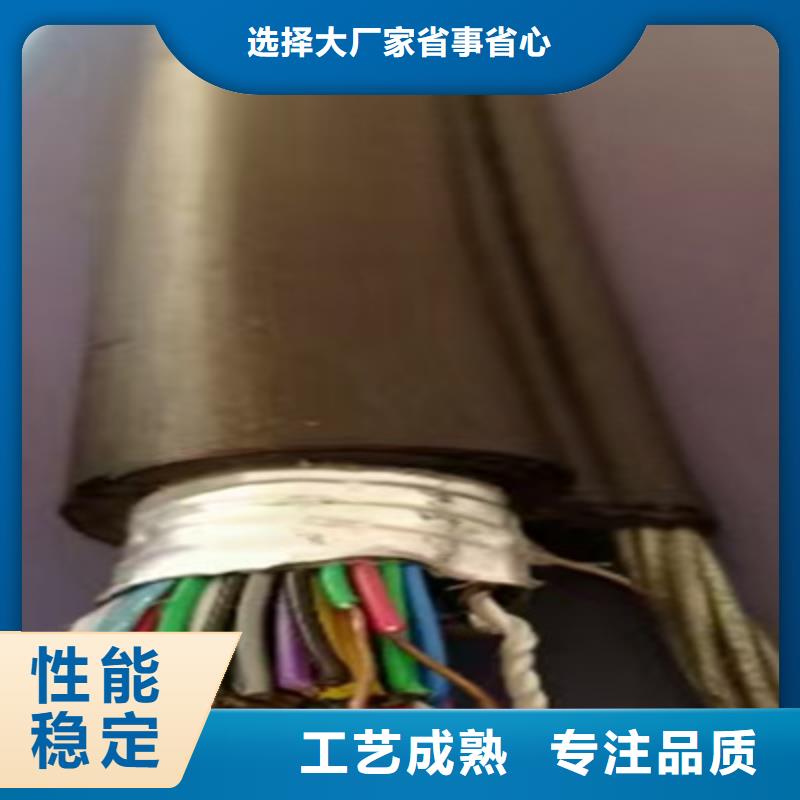 屏蔽通讯电缆GS-HRRVSP5X2X0.5专业厂家
