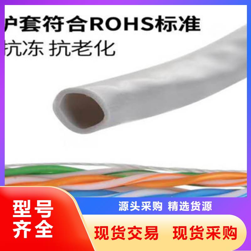 临高县双绞线缆BN-IJJYVLURP32品质过关精选厂家好货