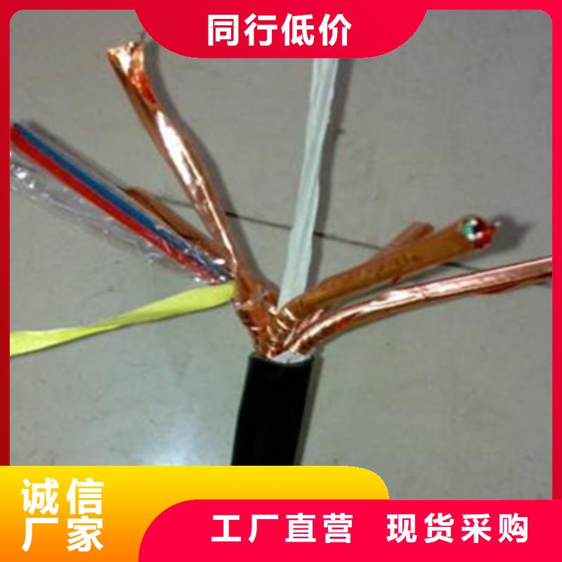 阻燃计算机电缆ZR-DJYJP3VP37X2X2.5本地制造商
