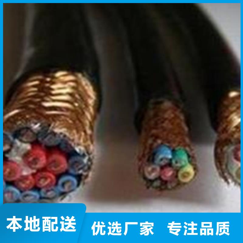 ZR-DJYJP2VP2-22阻燃计算机电缆10X2X1.0生产型