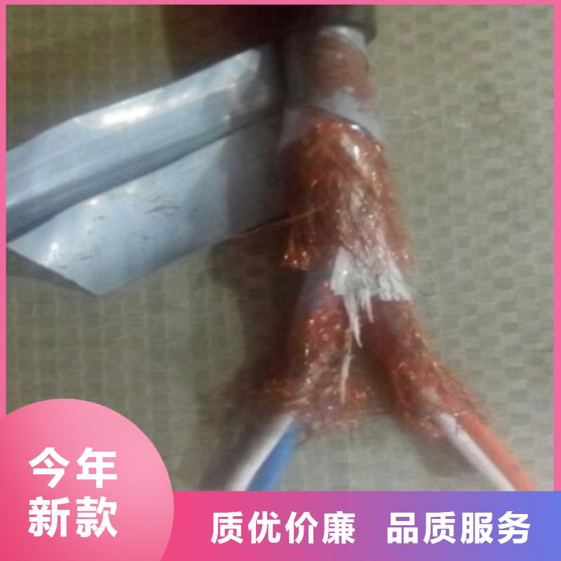 计算机屏蔽电缆DJVP3VR30X2X1.524小时下单发货