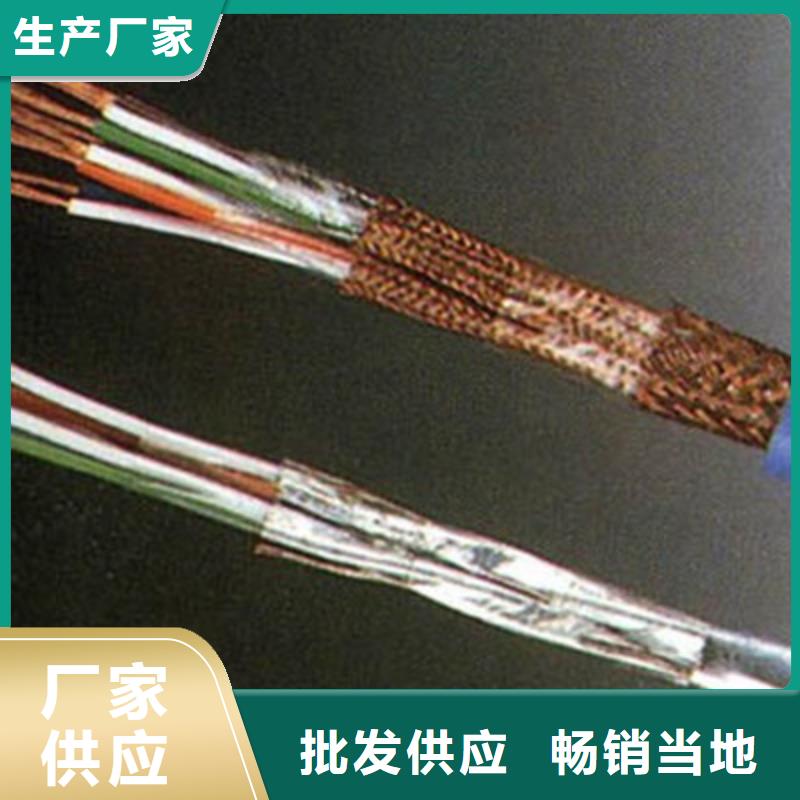 耐火计算机电缆NH-DJYJP2V6X2X1.0严格把控每一处细节