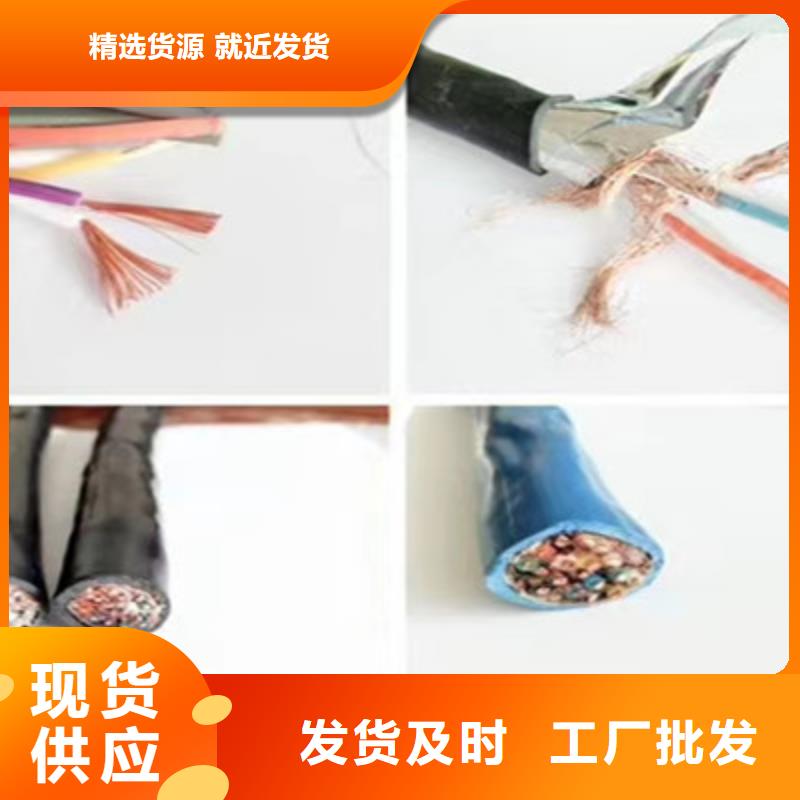 计算机屏蔽电缆DJYJVP2-22规格优质原料